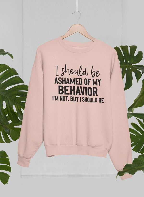 My Behavior Sweat Shirt